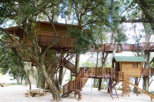 Arquitetura e decoração de casa na árvore - Casa sobre árvores de  eucaliptos 001