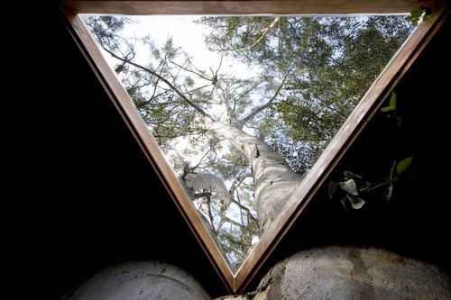 Arquitetura e decoração de casa na árvore - Casa sobre árvores de  eucaliptos 007